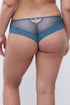 Chantelle Fleurs Signature Lace Hipster